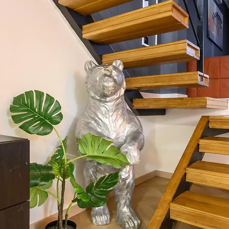 Orso רומא